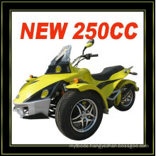 250CC 3 WHEEL ATV CAN AM(MC-389)